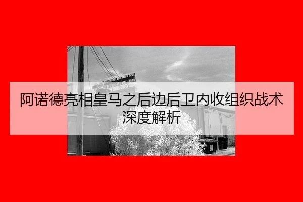 a-nuo-de-liang-xiang-huang-ma-zhi-hou-bian-hou-wei-nei-shou-zu-zhi-zhan-shu-shen-du-jie-xi-2-925.jpg